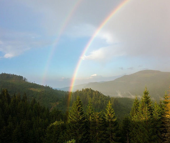 Masterclass: Un Viaje hacia la Vida Milagrosa