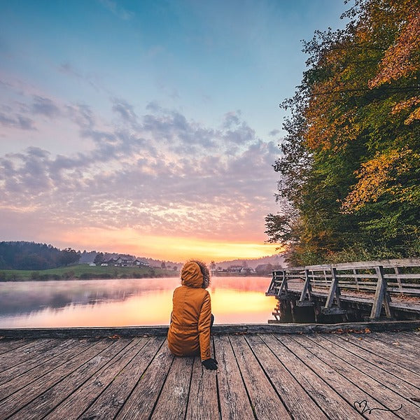 Curso: Vibración y Esencia - La Magia de las Flores de Bach