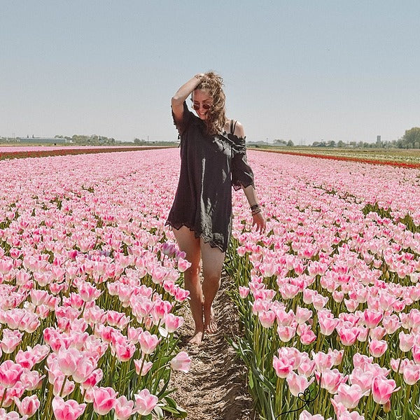 Curso: Los Cuatro Cuerpos y su Integración Cuántica