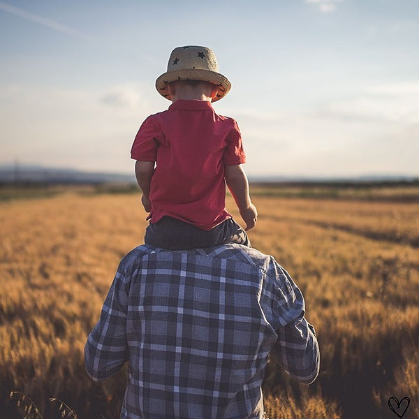 Módulos de Inspiración: Las Reflexiones del Abuelo